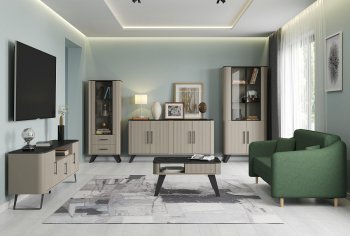 Стенка Фиделия, модульная (Олмеко) в Верхнем Тагиле - verhnij-tagil.mebel-e96.ru