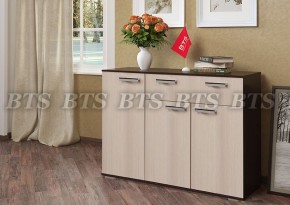 Комод Стандарт 4 NEW (БТС) в Верхнем Тагиле - verhnij-tagil.mebel-e96.ru