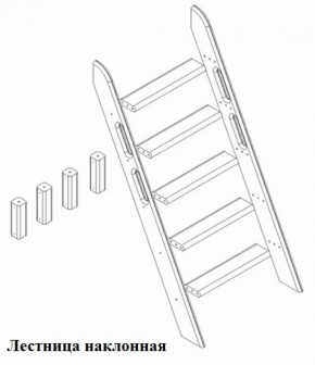 Кровать Сонечка 2-х ярусная (модульная) в Верхнем Тагиле - verhnij-tagil.mebel-e96.ru