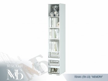 Пенал Мемори ПН-10 (БТС) в Верхнем Тагиле - verhnij-tagil.mebel-e96.ru