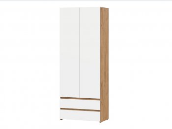 Стол компьютерный Некст-1 + Шкаф (СВ) в Верхнем Тагиле - verhnij-tagil.mebel-e96.ru