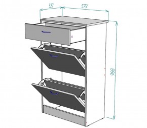 Обувница W21 (ДМ) в Верхнем Тагиле - verhnij-tagil.mebel-e96.ru