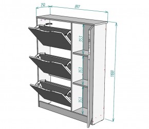 Обувница W40 (ДСС) в Верхнем Тагиле - verhnij-tagil.mebel-e96.ru