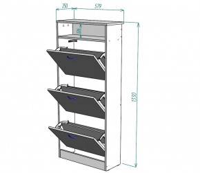 Обувница W9 (ДМ) в Верхнем Тагиле - verhnij-tagil.mebel-e96.ru