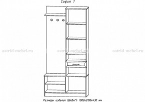 Прихожая София 1 (АстридМ) в Верхнем Тагиле - verhnij-tagil.mebel-e96.ru