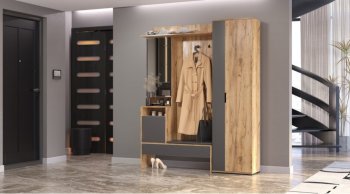 Прихожая Сабрина Дуб вотан/графит (Лин) в Верхнем Тагиле - verhnij-tagil.mebel-e96.ru