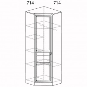 Шкаф для одежды угловой Лира 57 (Яна) в Верхнем Тагиле - verhnij-tagil.mebel-e96.ru