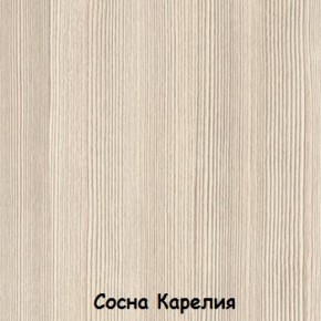 Шкаф 500 мм ДМ-03 Серия 2 (СВ) в Верхнем Тагиле - verhnij-tagil.mebel-e96.ru