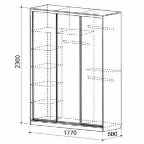 Шкаф-купе Бассо 1-600 (полки слева) в Верхнем Тагиле - verhnij-tagil.mebel-e96.ru