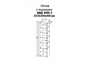 Шкаф-пенал KI-KI 450 мм, ШД450.1 (ДСВ) в Верхнем Тагиле - verhnij-tagil.mebel-e96.ru