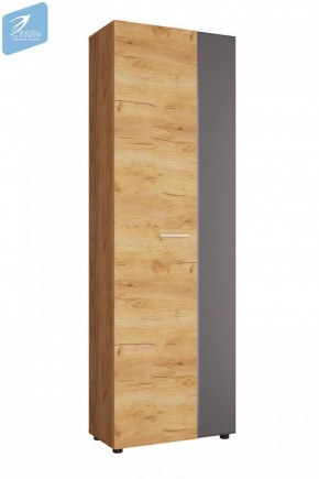 Шкаф с выдвижной штангой ШК-001 Сафари (Стиль) в Верхнем Тагиле - verhnij-tagil.mebel-e96.ru | фото
