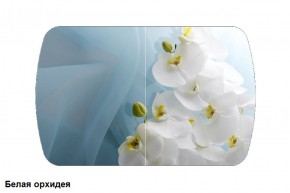 Стол Бостон 2 (1100*700) опоры Брифинг (Стекло/фотопечать Белая орхидея) в Верхнем Тагиле - verhnij-tagil.mebel-e96.ru | фото