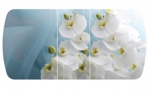 Стол Бостон-3 (Белая Орхидея) 1100/1420*700, опора Брифинг в Верхнем Тагиле - verhnij-tagil.mebel-e96.ru