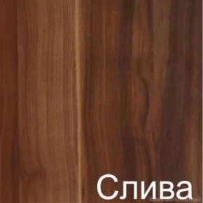 Стол-книжка (1-65) (ГК) в Верхнем Тагиле - verhnij-tagil.mebel-e96.ru