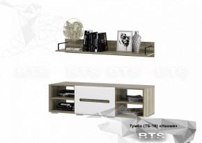 Тумба ТВ ТБ-16 Наоми (БТС) в Верхнем Тагиле - verhnij-tagil.mebel-e96.ru