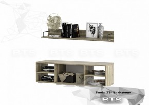 Тумба ТВ ТБ-16 Наоми (БТС) в Верхнем Тагиле - verhnij-tagil.mebel-e96.ru